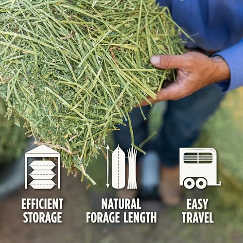 Standlee Premium Alfalfa y Hierba Comprimida 50 lb miniatura 2