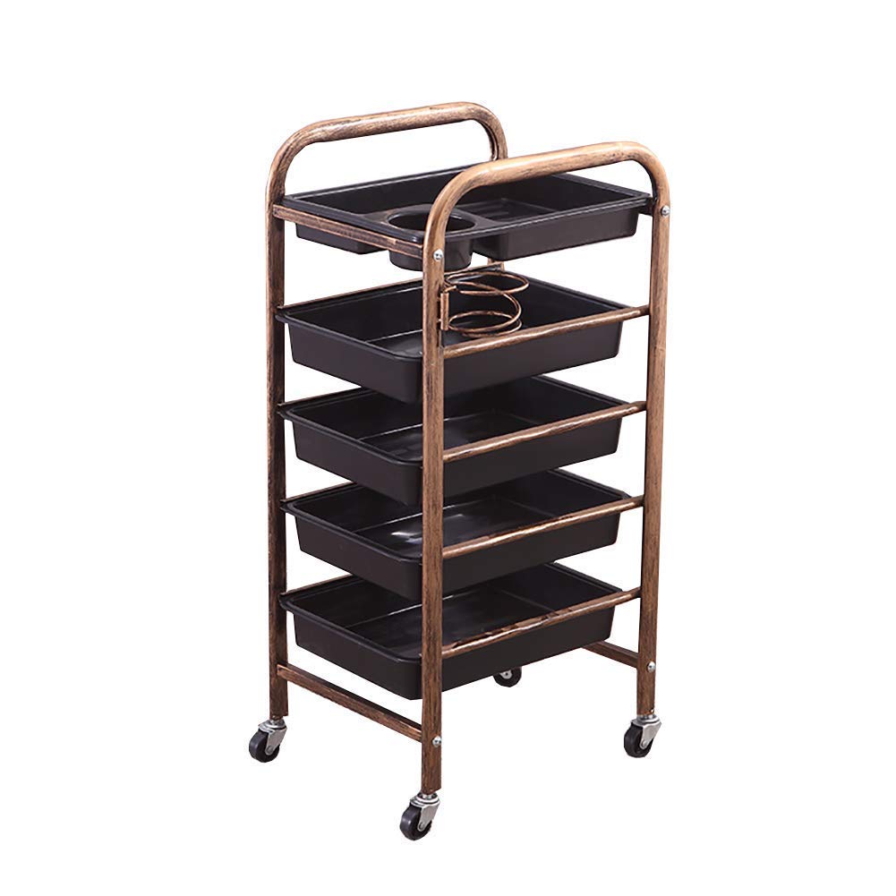 Carro de Servicio móvil para salón de Belleza, SPA, con 5 bandejas, Carrito de peluquería de 5 estantes y 4 Ruedas giratorias, Soporte para secador de Pelo (Estilo 2/L)