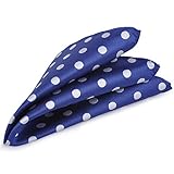 ciciTree 9.8x9.8 Men's Polka Dot Blue and White Pocket Square Jacquard Woven Handkerchief