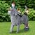 Chunful Dog and Gnome Garden Statues for Outside Decor with Butterfly Funny Yard Decorations Home Indoor Outdoor Patio Lawn Ornaments Housewarming Birthdays Gifts for Women Mom Grandma, 10.62 Inch