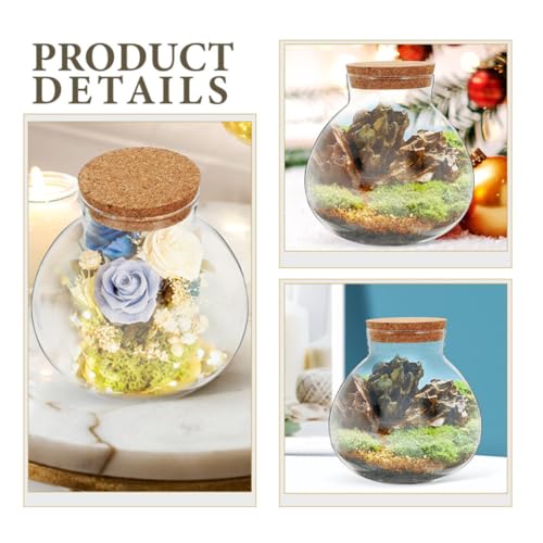 Bouteilles en verre sphérique pour terrarium de plantes et micro-paysage