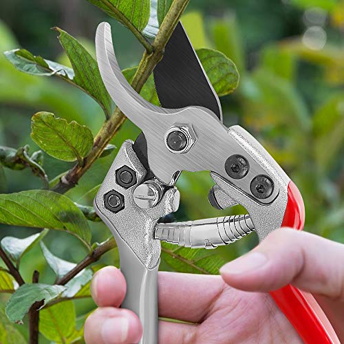 pozzolanas Pruning Shears, 7.5\" Professional Garden Shears Scissors Bypass Pruner Tree Branch Cutter Plant Trimming Scissors