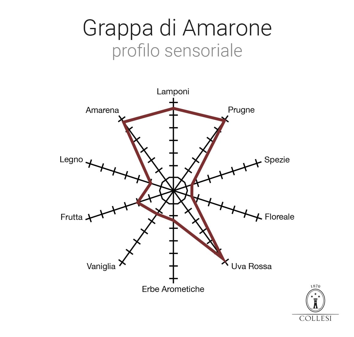 Distillerie Collesi Grappa di Amarone Artigianale – Distillato da Vinacce di Corvina, Rondinella e Molinara, 40% VOL – Bottiglia 70 c