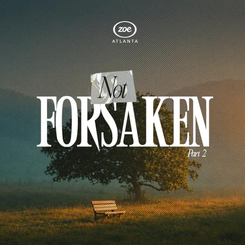 NOT FORSAKEN 2 (HOW TO OVERCOME DEPRESSION)