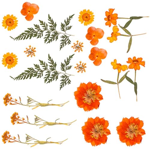 VRԃhCt[tZbgNtgXNbvubLOWG[CLOtHgt[dbP[XubN}[N{̉ԓdbP[X