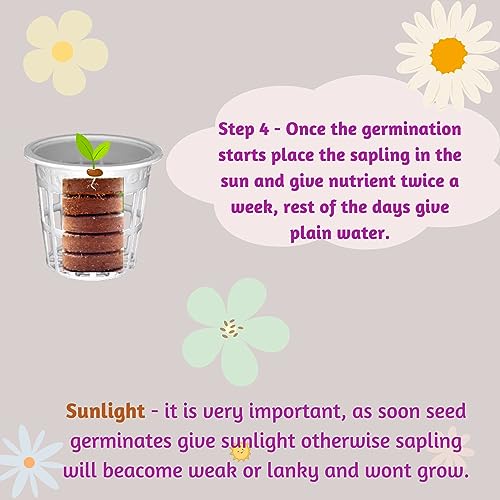 City Greens Seed Starter Kit for 15 Plants (Seeds, Cocopeat, Clay Pebbles, Net Pots, Instruction Set, Nutrient Enriched, Neem Oil Treated)