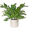 Briful Faux Plants Indoor 17 Artificial ZZ Plants in Ceramic Pot Fake Potted Zamioculcas Silk Plants for Home Table Decor Bedroom Aesthetic 1Pack