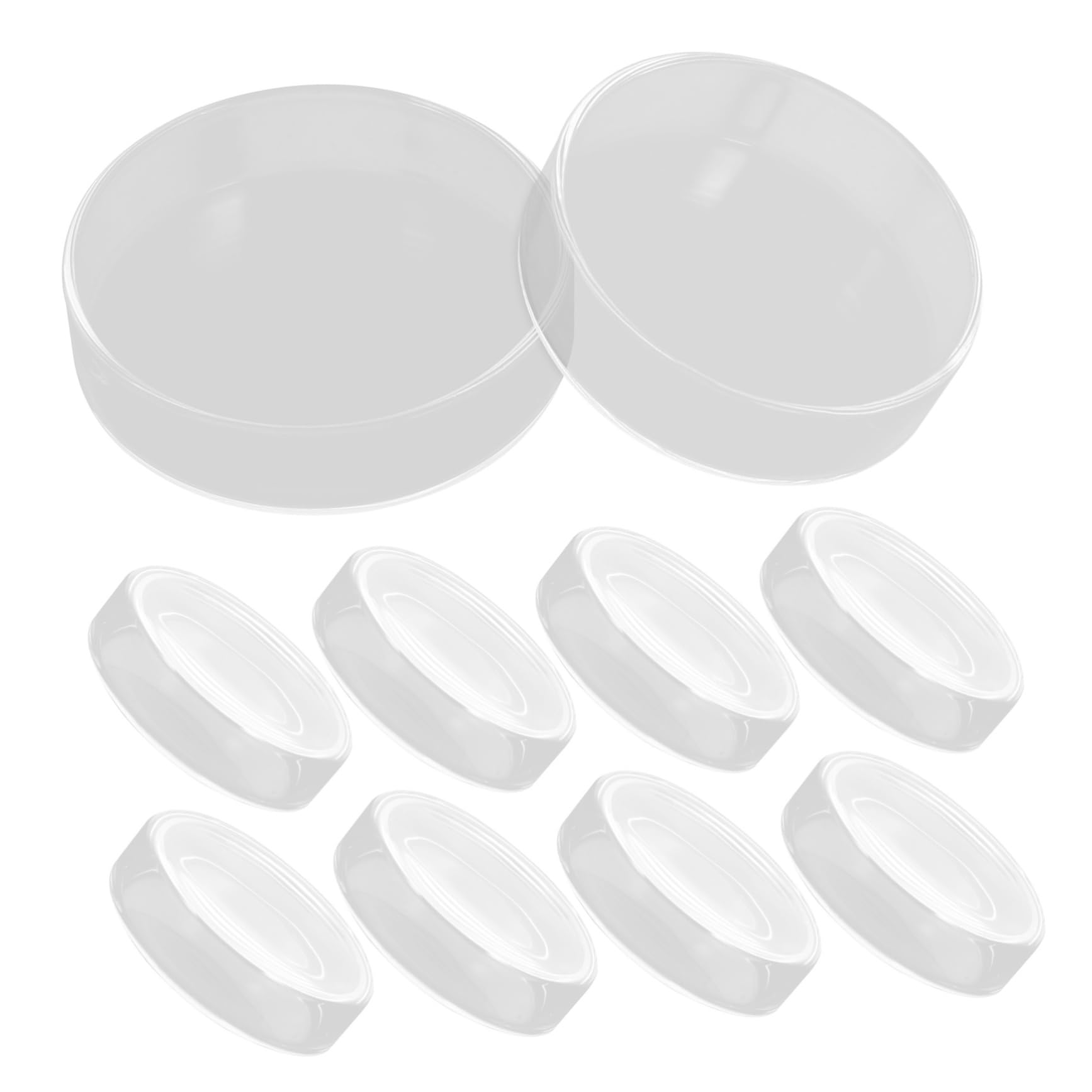 10 Stück 60 Mm Glas Petrischalen Für Zellkultur-wissenschaftsprojekte Mit Glatter Oberfläche Für Wachstum