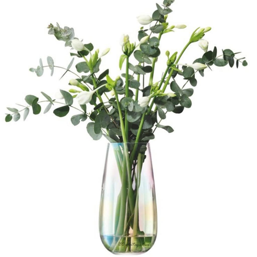Ngdfgr As Known Vase Rainbow Glass Vase,Simple Vases Can Hold Water Home Decor Living Room Centerpiece,Gradient Rainbow Transparent Minimalism (2.6),2.6