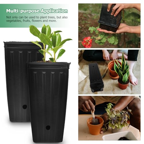 Macetas de vivero Alipis y vasos para cultivo de hortalizas con drenaje eficiente 4