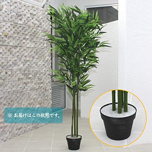 Amazon｜人工観葉植物 光触媒 バンブー 青竹 150cm｜人工観葉植物 