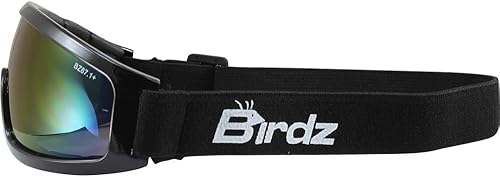 Miniatura 7 de Birdz Robin Sport Skydiving Snowboarding - Gafas de seguridad para montar en motocicleta, espejo azul y lentes ahumados, 2 pares