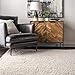 nuLOOM Clare Solid Shag Area Rug, 5'3