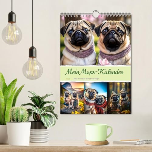 Mein Mops-Kalender (Wandkalender 2026 DIN A4 hoch), CALVENDO Monatskalender: Der Mops ist eine kleine bis mittlere Hunderasse mit einem runden Kopf, ... Fell und kurzer Nase. (CALVENDO Tiere)