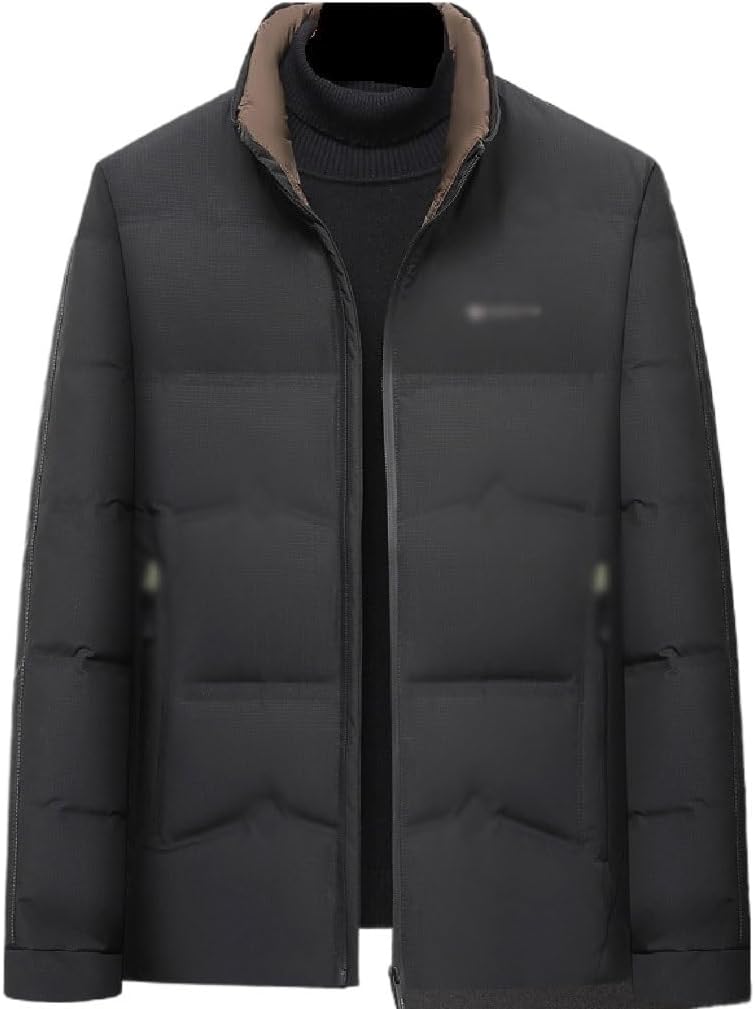 VIDI Winter Men's Down Jacket Hoodless Standing Collar