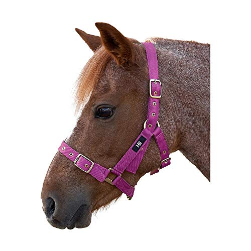 Hy Holly Fully Adjustable Headcollar(Pink, Cob)