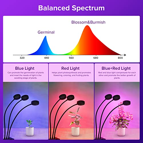 Sansi Grow Light With Red Blue Spectrum, Ppf 96 Umol/S Grow Lights For Indoor Plants, 24W Grow Lamp (240W Equiv.) With Optical Lens, Energy Saving Plant Lights For Seeding And Growing #TOP1