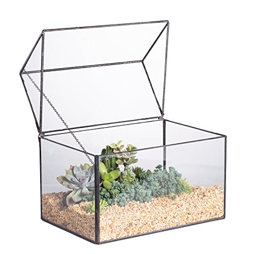 Ncyp Glass Geometric Terrarium Container Tabletop Large Close House Shape Box Planter For Succulent Plant Moss Fern With Swing Lid Black Decor 8.6 X 7.25 X 6 Inches, No Plants Included #TOP24