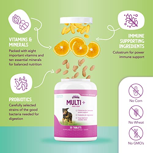 Health Extension Lifetime Multivitamin and Minerals for Dogs & Puppies, Supplements for Immune System, Digestion, Joint Support, Coat & Skin, Contains Vitamin A, D, E, K, B12, 30 Tablets
