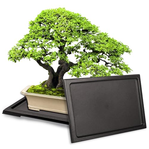 KEOHOLI 2 Packs Bonsai Humidity Plant Tray Drip Trays, Square Plastic Pot Saucer Draining Tray for...