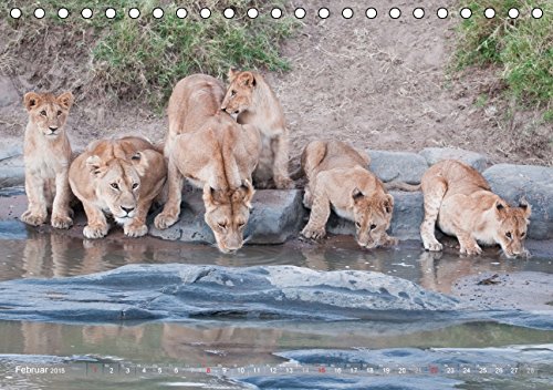 Löwen - Herrscher der Savanne (Tischkalender 2015 DIN A5 quer): Fasziniernde Aufnahmen der majestätischen Raubkatzen - auch als verspielte Löwenkinder (Tischkalender, 14 Seiten)