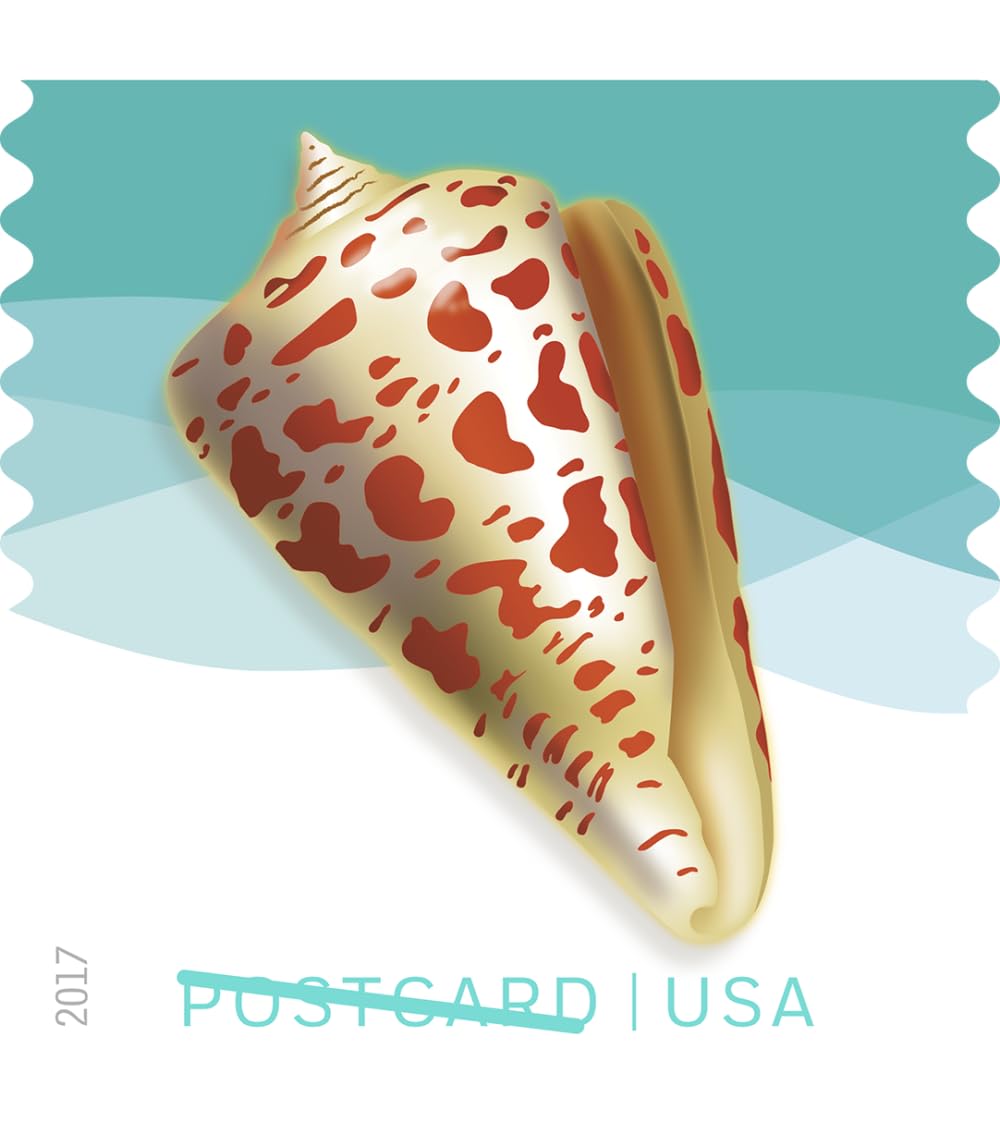 Seashells USPS Forever - Sellos de postal (20 unidades, 5 hojas de 20 sellos)