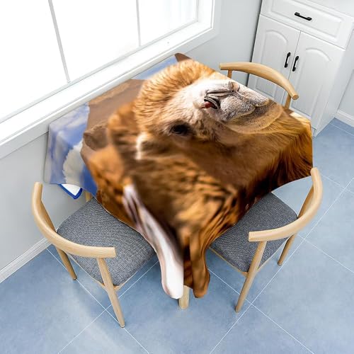 Tizhweqo Mantel Mesa Cuadrada Alpaca, Manteles Antimanchas Animales, 3D Impresión Mantel Impermeable Lavable para Cocina Salón Comedor, 150x150 cm Q.P3215