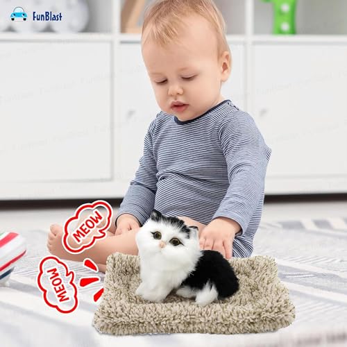 Image of FunBlast Cute Cat Plush Toy with Meow Sound, Toy Accessories for Car Dashboard & Home Decor, Realistic Cat Pet Toys with Bed, Gift for Kids (Black+White)