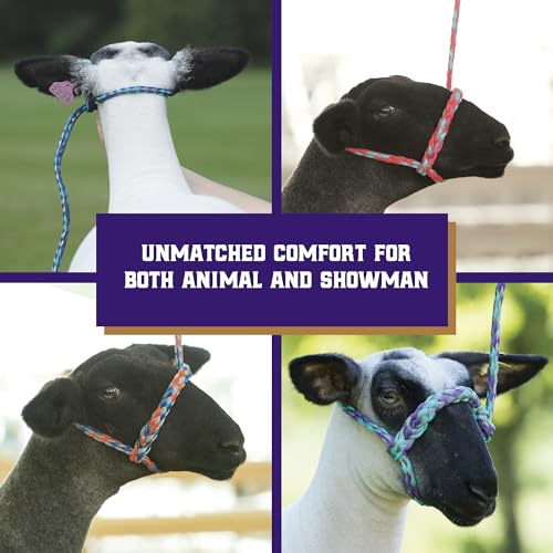 Weaver Livestock Poly Rope Sheep Halter, Modern Style Braid Sheep and Goat Rope Halter, Adjustable Lamb Halter Lead, Livestock Sheep Showing Supplies - Thumbnail 5