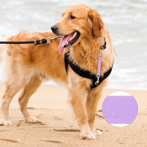 PetBonus Dog Collar Safety Clip - Image 3