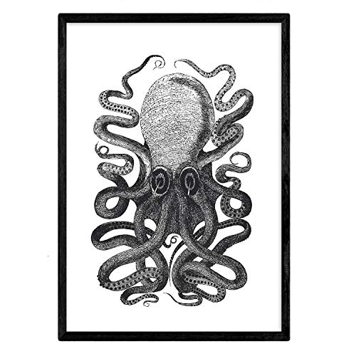 Nacnic Lámina de Pulpo blanco y negro. Posters con animales en blanco y negro. Tamaño A3 con marco