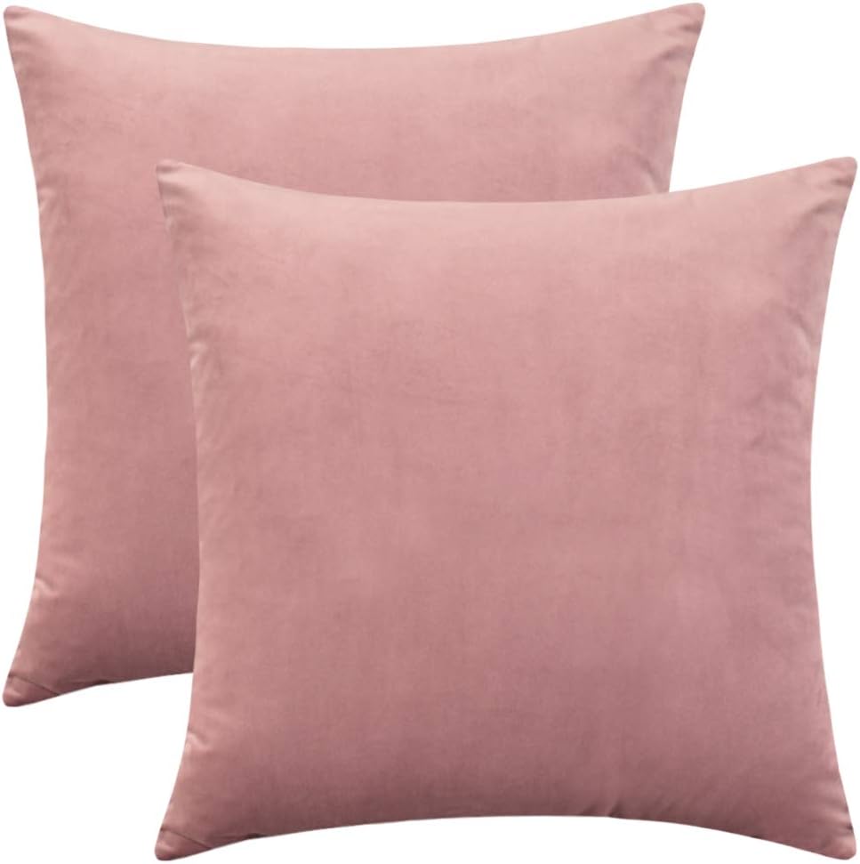 Set of 2 Comfortable Throw Pillow Cover for Bedding, Decorative Accent Cushion Sham Case for Couch Sofa, Soft Solid Velvet with Zipper Hidden - 16"x16", Mauve Pink
