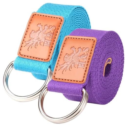 H&S Gomas Elasticas para Musculacion - 2uds - Bandas de Estiramiento y Resistencia Ajustable - Cintas Elásticas de Longitud 1,85 y 2,45m para Fitness