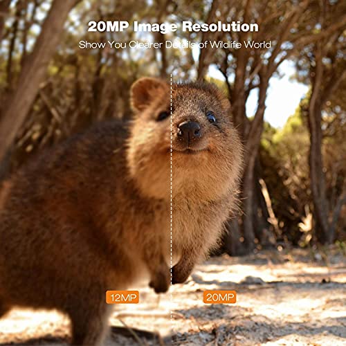 Wildkamera 20MP 1080P Nachtsicht mit 3 Sensoren Bewegungsmelder zur Beobachtung, Wildtierkamera mit IP56 Wasserdicht – Bild 3