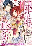 呪われ姫は暴虐な騎士に娶られる～愛の印を奥深くに刻み付けて～2 (黒ひめコミック)