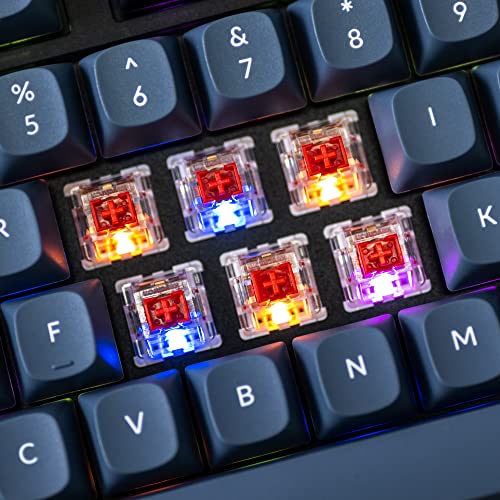 Image of Keychron V3 Wired Custom Mechanical Keyboard, TKL Tenkeyless QMK /VIA Programmable Macro with Hot-swappable Keychron K Pro Red Switch Compatible with Mac Windows Linux (Frosted Black-Translucent)
