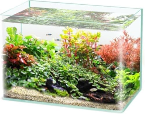 Citybaby金魚鉢,透明金魚鉢, 水槽 ,四角い ガラス容器 ,メダカ 鉢, メダカ大型 容器 水族館 透明ボトル 室内アイテム 装飾的な 家庭 応接室 営業所 (25*16*18cm)