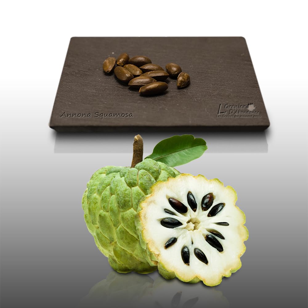 10 graines à semer - Le Grenier d'Abondance - ATTIER - Annona Squamosa