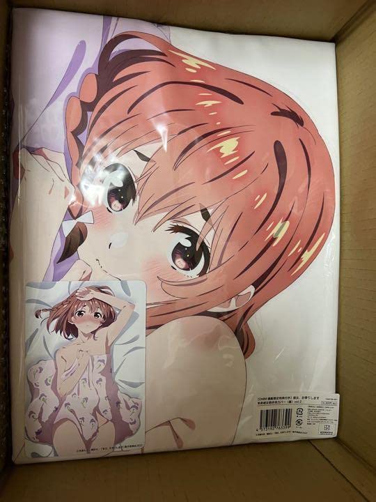 Amazon | 彼女、お借りします 本命彼女抱き枕カバー 桜沢墨 vol.2 