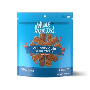 WholeHearted by Petco Culinary Cuts Salmon Recipe Jerky Dog Treats 16 oz.