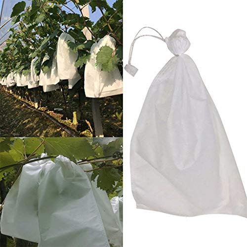 Bolsas protectoras de frutas para evitar plagas de insectos en uvas y verduras de huerto 5