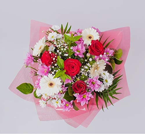 Felicity Special Birthday Flowers with Red -Pink Roses and white Gerberas for Birthday, Wedding, Anniversary, Get-Well, Mum Gifts, Indoor Decorations Delivery, Long-Lasting Cut Flowers for Occasions