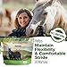 Silver Lining Herbs Horse Joint Support Supplement - Joint Complex, Mobility & Comfort Horse Supplements - Equinety Supplement with Natural Herbal Blend of Ginger, Burdock & More - 5 lb (300 Servings)