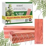 10 Best Products to Protect Your Car in Winter: A 2026 Guide 14 10 Fresh Cedar Planks and Hanger