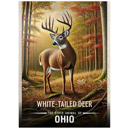 MyPuzzle InCIB IWWJ:BV[Y - v~A 1000s[X WO\[pY lp