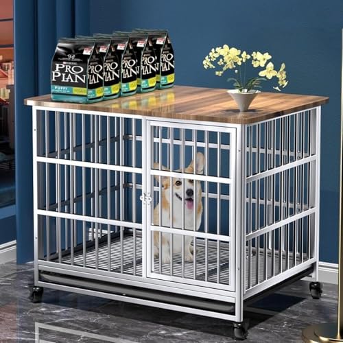 大型犬 ゲージ 木製」の人気商品一覧 | 安い商品を通販サイトから探す