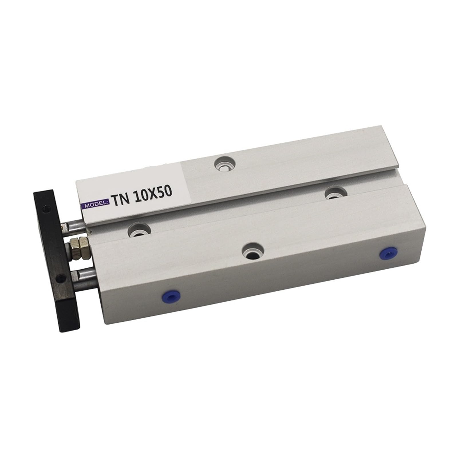 Vérin pneumatique double tige TN10x175 pour guidage de charge industrielle