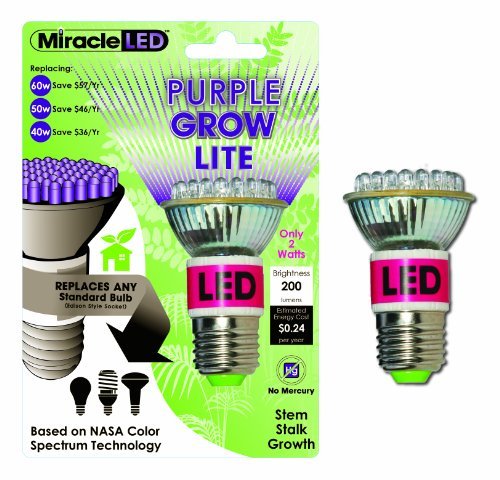 Miracle LED 603050 LED Purple Grow Lite, Indoor Gardening Bulb