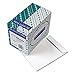 Quality Park Large Format/Catalog Envelopes, 9 x 12 inches, 250 / Box