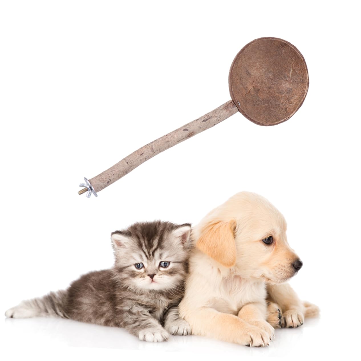 Sosoport 2pezzi Nido per Uccelli Guscio di Cocco con Supporto e Gioco per Pappagalli e Altri Animali Domestici per Riposo e Divertimento